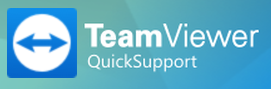 Team Viewer QS